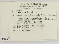 登錄號:F0000375藏品圖，第2張