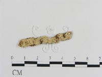 登錄號:F0000375藏品圖，第1張