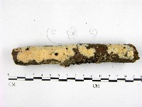 登錄號:F0000377藏品圖，第1張