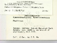 登錄號:F0000378藏品圖，第2張