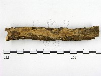 登錄號:F0000378藏品圖，第1張