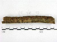 登錄號:F0000378藏品圖，第3張