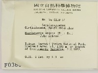 登錄號:F0000380藏品圖，第2張