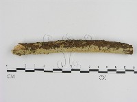 登錄號:F0000380藏品圖，第1張