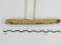 登錄號:F0000380藏品圖，第3張