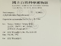 登錄號:F0000381藏品圖，第2張