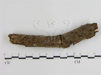 登錄號:F0000381藏品圖，第1張