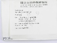 登錄號:F0000382藏品圖，第2張