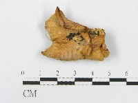 登錄號:F0000382藏品圖，第3張