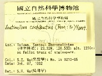 登錄號:F0000383藏品圖，第2張