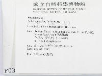 登錄號:F0000384藏品圖，第2張
