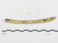 登錄號:F0000384藏品圖，第1張