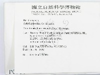 登錄號:F0000386藏品圖，第2張