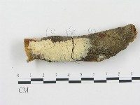 登錄號:F0000386藏品圖，第1張