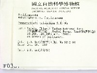 登錄號:F0000387藏品圖，第2張