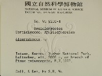 登錄號:F0000388藏品圖，第2張