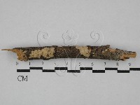登錄號:F0000388藏品圖，第1張