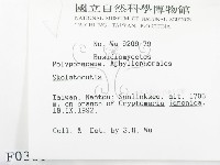骨皮菌屬藏品圖，第2張