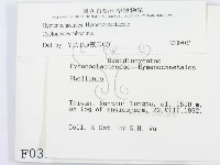 登錄號:F0000390藏品圖，第2張