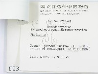 登錄號:F0000390藏品圖，第3張