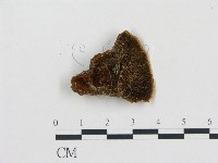 登錄號:F0000390藏品圖，第1張