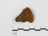 登錄號:F0000390藏品圖，第4張