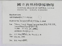登錄號:F0000391藏品圖，第2張