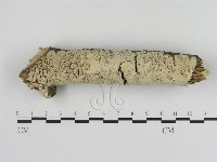 登錄號:F0000391藏品圖，第1張