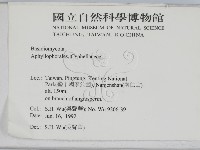登錄號:F0000392藏品圖，第2張