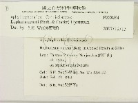 登錄號:F0000394藏品圖，第2張