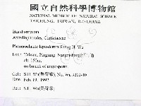 登錄號:F0000395藏品圖，第2張