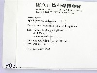 登錄號:F0000396藏品圖，第2張