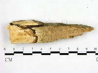 登錄號:F0000396藏品圖，第1張