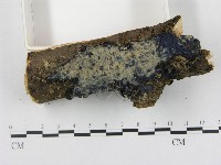 登錄號:F0000397藏品圖，第3張