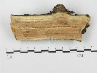 登錄號:F0000397藏品圖，第4張