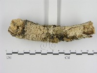 登錄號:F0000398藏品圖，第1張
