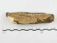 登錄號:F0000399藏品圖，第1張