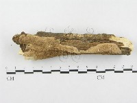 登錄號:F0000399藏品圖，第3張