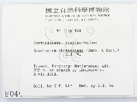 登錄號:F0000400藏品圖，第2張