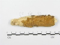 登錄號:F0000400藏品圖，第1張