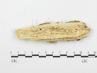 登錄號:F0000400藏品圖，第3張