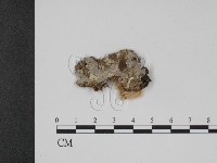 登錄號:F0000402藏品圖，第1張