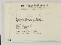 登錄號:F0000405藏品圖，第2張