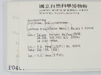 登錄號:F0000407藏品圖，第2張