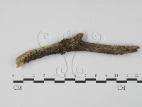 登錄號:F0000407藏品圖，第1張