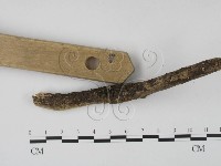 登錄號:F0000407藏品圖，第3張