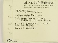 登錄號:F0000408藏品圖，第2張