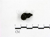 登錄號:F0000410藏品圖，第3張