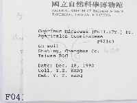 登錄號:F0000412藏品圖，第2張
