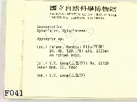 登錄號:F0000413藏品圖，第2張